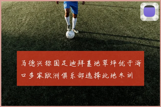 马德兴称国足迪拜基地草坪优于海口多家欧洲俱乐部选择此地冬训