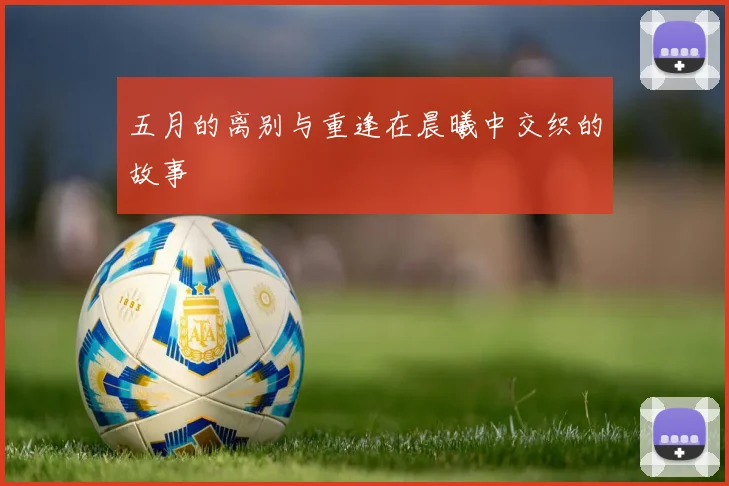 五月的离别与重逢在晨曦中交织的故事