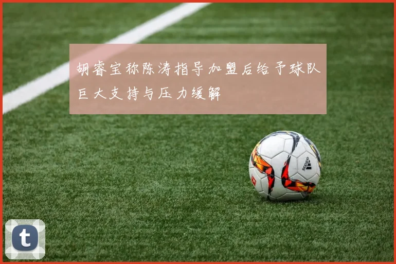 胡睿宝称陈涛指导加盟后给予球队巨大支持与压力缓解